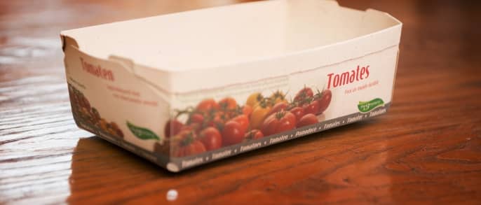 Biobased Plastics in a Circular Economy